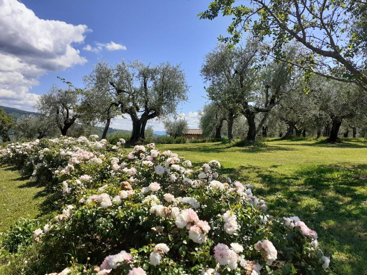 La Fornella Dell'Anita Villa Pelago Exterior foto